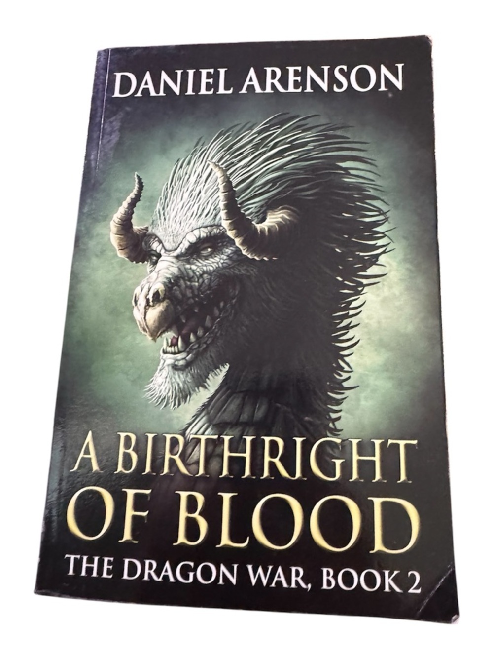 A Birthright of Blood - Black and Green Fantasy Paperback